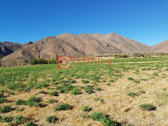 Fracción Finca Tacuil